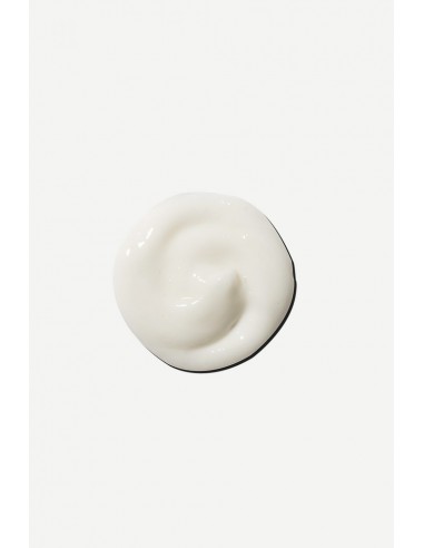 garlo-estilistas-peluqueria-vegana-goa-organics-pelo-seco-encrespado-champu-tasmania-shampoo